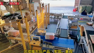 Palettiseur robotisé automatique <span class=keywords><strong>ABB</strong></span> ou <span class=keywords><strong>KUKA</strong></span> pour sacs et cartons - Product Image 5