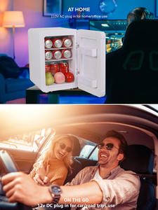 Kulkas Mini pintu kaca Ac Dc 220v 12v, Kulkas mobil portabel, menjaga makanan dan buah segar 15l - Product Image 4