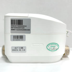 Débitmètre ultrasonique LoRaWAN/GSM/NB-IoT avec protection IP66/IP67/IP68, connectivité filetée en cuivre et alerte précoce pour l'eau - Product Image 6