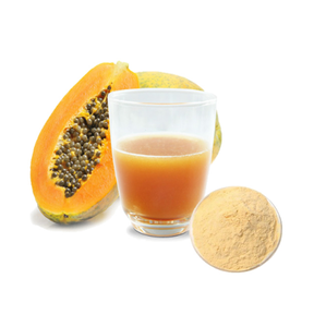 हॉट सेलिंग पपीता फल पाउडर निकालने/पपीता एंजाइम पाउडर - Product Image 3