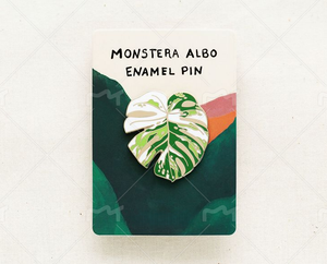 Monstera Albo Thai Constellation Monstera ใบโลหะ Monstera Begonia Alocasia - Product Image 5