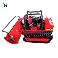 Tondeuse à Gazon sans Fil de Haute Qualité 800 mm Certifiée Longjie, 48 V, Moteur Quatre Temps pour Agriculture, Télécommande sans Fil