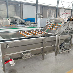 Líneas Comerciales de Procesamiento de Vegetales, Máquina Lavadora de Frutas como Zanahorias y Naranjas - Product Image 5