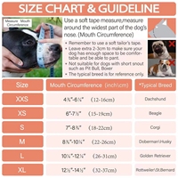 Nouveau cache-mâchoire multifonctionnel anti-morsure en maille pour chien de taille moyenne à grande, anti-détachement, pour Golden Retriever et Husky