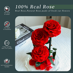Cúpula de Cristal con 3 Rosas Preservadas Serie Grand Prince, Decoración de Boda de Lujo, Regalo de San Valentín, Personalizable al por Mayor - Product Image 3