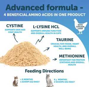 مسحوق OEM/ODM L-Lysine لتعزيز المناعة وصحة الجهاز التنفسي لتكملة تغذية الحيوانات الأليفة - Product Image 4
