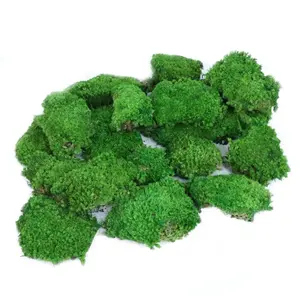 Ins Style Preserved moss wholesale Moss Beautiful and Soft Massive Bulk Wedding Decoration Flower Wall Event