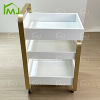 Chariot mobile pour salon de beauté, outils de coiffure, soins du visage et spa, chariot pour technicien