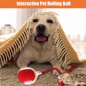 Fabrika akıllı Pet oyuncak 360 ° akıllı otomatik interaktif köpek akıllı top oyuncak interaktif kedi oyuncaklar haddeleme topu USB şarjlı - Product Image 6
