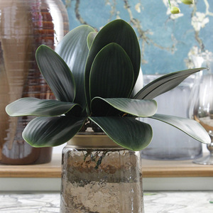 QSLHC792 Heißer Verkauf Real Touch Grün Pflanzen Künstliche Schmetterling Orchidee Blätter