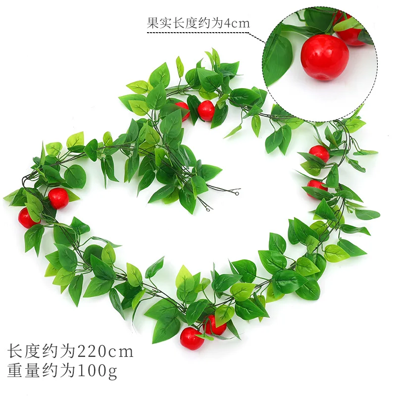 Vignes de pomme rouge (gros fruit)