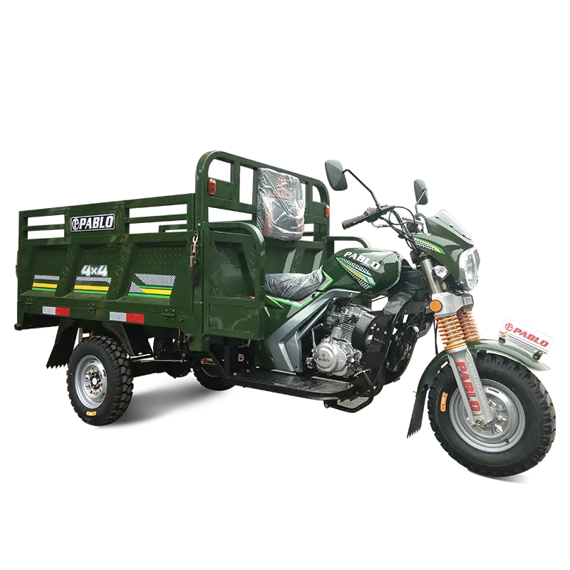 Hot selling 150CC gasoline engine three-wheeled cargo motorcycle for outdoor travel convenience