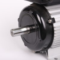 Moteur asynchrone monophasé à double condensateur YL-100L2-4 3,0 kW 4 CV avec enroulement en cuivre pur pour équipement de traitement