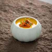 Bol en céramique écologique poli en forme d'ormeau, résistant aux éclats, pour soupes, idéal pour restaurants et hôtels