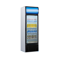 Réfrigérateur vertical pour magasin commercial, vitrine de congélation, réfrigérateur pour boissons fraîches