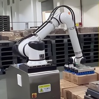 Lengan Robot Kolaboratif Industri Huayan S30 Beban Angkut 30kg 6 Axis Cobot PLC Motor Baja Tahan Karat untuk Palletizing Otomatis