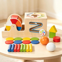Houten vormsorteerspeelgoed Montessori kleurmatchende doos met schijven, staven, ballen, geometrische blokken, educatief speelgoed voor peuters