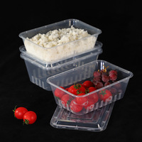 Boîte d'emballage alimentaire rectangulaire en plastique portable durable boîte d'emballage à emporter personnalisée en gros avec couvercle