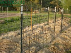 Poteau en T de 2,0 m vert peint, durable et économique, avec plaque, cadre métallique anti-corrosion, traité thermiquement pour ferme d'élevage, forme <span class=keywords><strong>creuse</strong></span> - Product Image 6