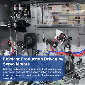 Nouvelle <span class=keywords><strong>machine</strong></span> d'emballage blister d'aliments pour poissons avec design multifonctionnel - Product Image 4