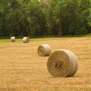 Hdpe anti uv agrícola de embalaje blanco heno de bale neto