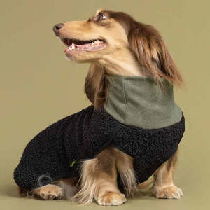 Qiqu Suministros <span class=keywords><strong>para</strong></span> mascotas personalizado Nuevo diseñador de lujo Sherpa Cuello alto Suéter <span class=keywords><strong>para</strong></span> <span class=keywords><strong>perros</strong></span> Ropa <span class=keywords><strong>para</strong></span> mascotas <span class=keywords><strong>Para</strong></span> <span class=keywords><strong>perros</strong></span> Jersey <span class=keywords><strong>para</strong></span> <span class=keywords><strong>perros</strong></span> salchicha - Product Image 5