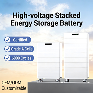 Household Energy Storage Battery 51.2V 20-30KW Grid/Hybrid Grid Compatible <b>Rack</b>-Mounted IP54 Protection Lithium Iron Phosphate - Product Image 1