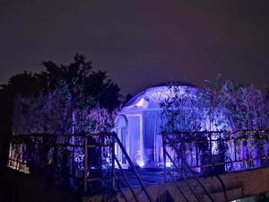 Estilo de lujo cúpula transparente casa <span class=keywords><strong>para</strong></span> Glamping Carpa/terraza/Hotel/estrella de la noche. - Product Image 3