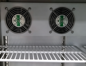 Réfrigérateur de bar à économie d'énergie pour présentation, <span class=keywords><strong>auto</strong></span>-dégivrant, à circulation d'air, pour pub, vitrine réfrigérée à double porte, à brancher - Product Image 6