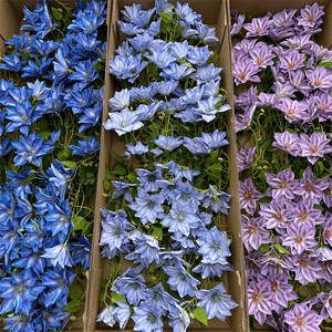 CM-TH151 Vente en gros de <span class=keywords><strong>fleurs</strong></span> artificielles en latex à 3 têtes, toucher réel, <span class=keywords><strong>Clematis</strong></span> violet, pour la décoration de mariage et de fête - Product Image 3