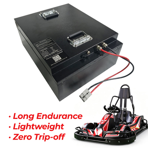 Baterai Solid State Pengganti 48V 60V 72V 30Ah 50Ah 60Ah 100Ah untuk Go Kart Listrik Zyliathor Off-Road - Product Image 1