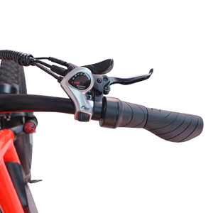 Vélo <span class=keywords><strong>cargo</strong></span> électrique à pneus larges <span class=keywords><strong>de</strong></span> 20 pouces, 48V 500W, capacité <span class=keywords><strong>de</strong></span> charge <span class=keywords><strong>de</strong></span> 200 kg, livraison sur le dernier kilomètre, vélo électrique - Product Image 6