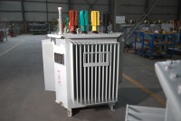 Transformator Distribusi Tiga Fasa Terendam Minyak Wanbo-92 IEC 60076 630kVA 800kVA 1000kVA 11kV/22kV 400V 50/60Hz Gulungan Tembaga