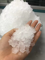 Machine à glace floconneuse 300 kg 24h, machine à fabriquer des blocs de glace, machine à glace neige automatique commerciale pour les entreprises, prix alimentaire