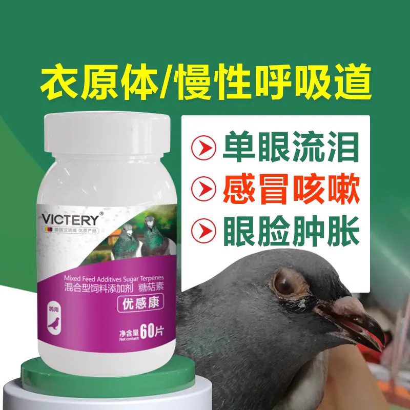 victery pigeon digestion supplement