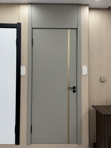MDF/HDF/compensato/legno massiccio/WPC/PVC porta interna di pittura composita su misura/pittura libera - Product Image 5