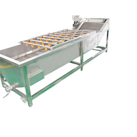 Industriële Datum Palm Fruit Wasmachine Groente Wassen Apparatuur