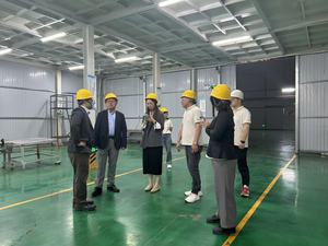 سماد عضوي قابل للذوبان في الماء مستخلص من الأعشاب البحرية لتعزيز التربة في الزراعة، مسحوق الأعشاب البحرية رقم 2 - Product Image 6