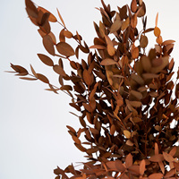 Feuilles d'eucalyptus naturelles séchées et préservées, toucher réel, écologiques, pour DIY, mariage, fête des mères, Noël - Grande Vente