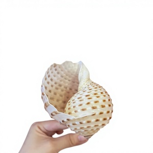 Handmade Bohemian Seashell Pattern <b>Plastic</b> <b>Mug</b> with Tray on Gold Stand Eco-Friendly Dishwasher Safe Party Decor Gift Item - Product Image 1