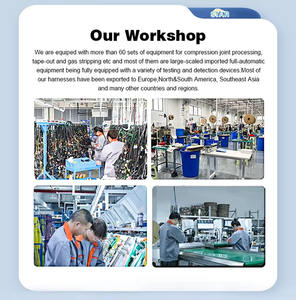 Harness Kabel Konektor ISO Kustom OEM untuk Pemasangan Head Unit (Audio) Aftermarket Konektor 8P*2 - Product Image 6