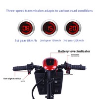 Tricycle électrique pliable sans balais Vic VIKE pour personnes âgées et adultes handicapés, autonomie de 30-55 km, vitesse maximale de 11-20 km/h, charge utile de 150 kg
