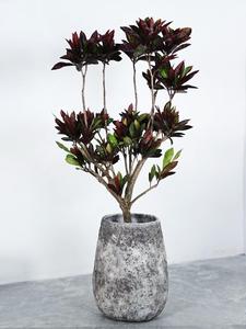 <span class=keywords><strong>Maceta</strong></span> grande minimalista de cemento en forma de huevo de pato de alta gama, <span class=keywords><strong>maceta</strong></span> de planta verde de diamante negro de madera de <span class=keywords><strong>pie</strong></span> de pato - Product Image 6