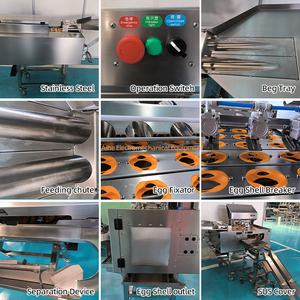 Máquina Automática para Romper Huevos <span class=keywords><strong>de</strong></span> Gallina <span class=keywords><strong>de</strong></span> Alta Producción y Pequeña Capacidad - Product Image 6