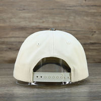 Casquettes de baseball en coton à 5 panneaux en gros pour hommes et femmes, motif guépard et léopard brodé, casquette de sport unie vierge pour l'extérieur