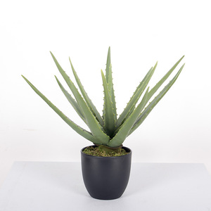 Offre Spéciale succulente artificielle en pot petit Pot Faux aloès décoration de la maison <span class=keywords><strong>bureau</strong></span> réaliste arbre <span class=keywords><strong>Aloe</strong></span> <span class=keywords><strong>Vera</strong></span> plante - Product Image 4