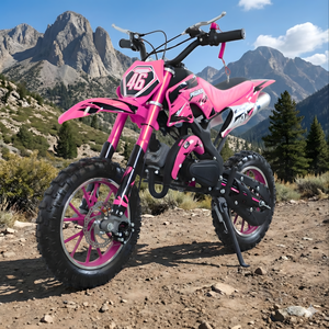 Motocicleta Todoterreno de Gasolina para Niños de 49 cc, Color Rosa, Lista para Enviar, Ideal para Principiantes, Velocidad Máxima de hasta 40 km/h, Fabricada en China para Jugar al Aire Libre - Product Image 2