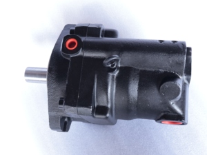 Pompe à piston hydraulique à déplacement variable PAV80 P1 EA, pompe hydraulique axiale à déplacement fixe PAV80 PAV63 PAVC33 PAVC38 PAVC65 pour grue - Product Image 3