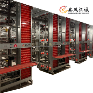 Nouvelle cage à batterie <span class=keywords><strong>de</strong></span> type H durable, best-seller, pour l'élevage <span class=keywords><strong>de</strong></span> 160 poules pondeuses dans une ferme avicole en Thaïlande - Product Image 2
