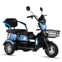 L'usine fournit directement 2025 plus récent 3 roues Tricycle électrique Cargo et passager haute puissance 48V500W pour adultes et personnes âgées